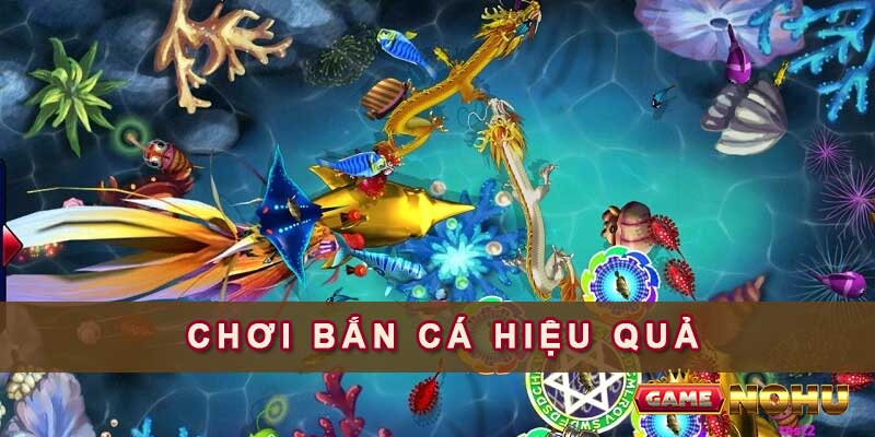 Chơi bắn cá hiệu quả khi bạn hiểu rõ quy luật và xác suất